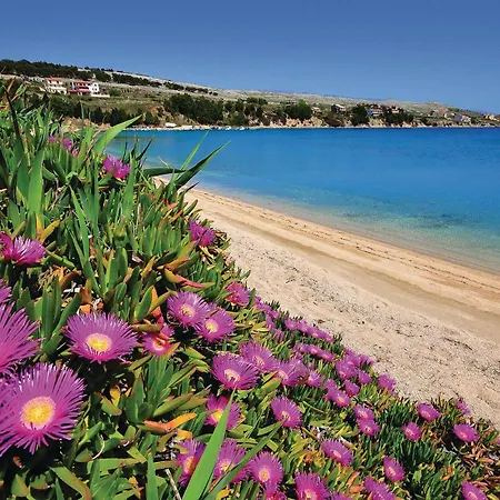 Διαμέρισμα Lovely In With House Sea View Miškovići